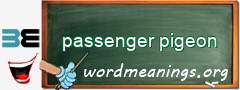 WordMeaning blackboard for passenger pigeon